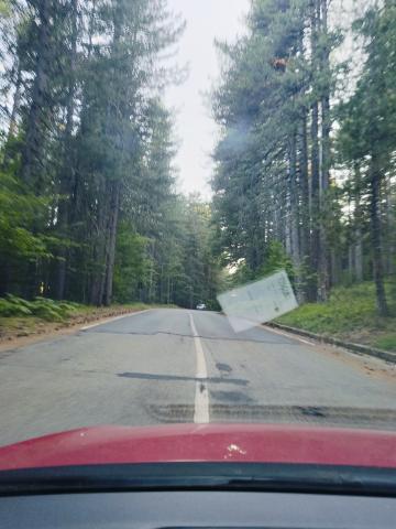 aa